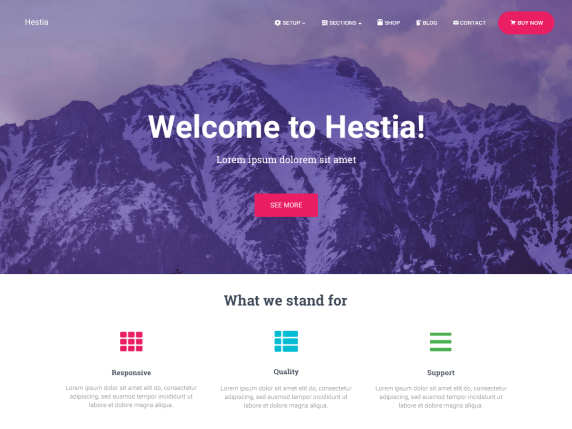 Best Free WordPress Themes - Hestia