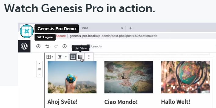 genesis WordPress Themes for Affiliate Marketing